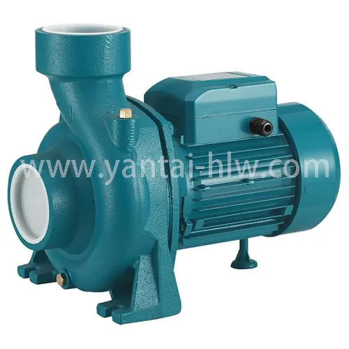 Navigating the World of Water Pumps: A Comprehensive Guide high-flow-centrifugal-water-pumps-made-in-china-hlw